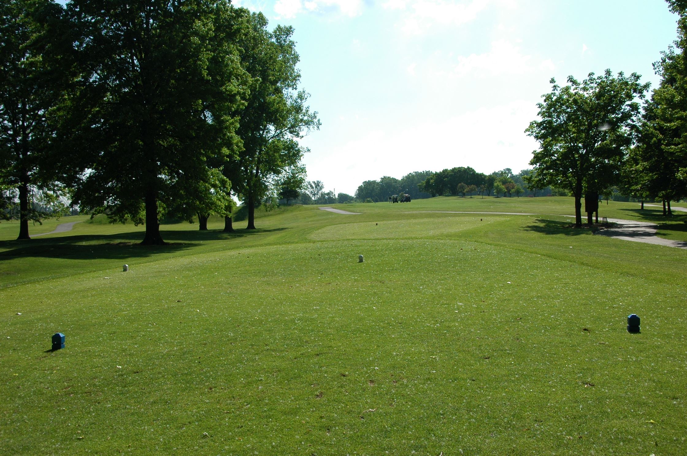 A view of the beautiful scenery of the Taylor Meadows Golf Course.